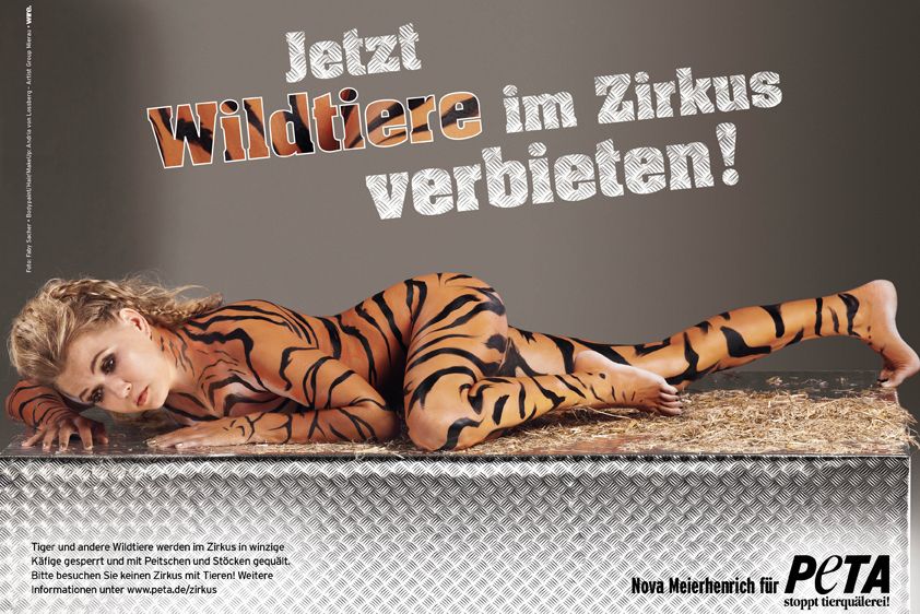 Nova Meierhenrich Nova Meierhenrich