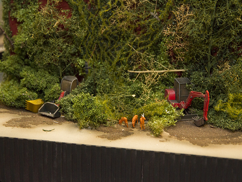 Seltene Vogelart im Grünbewuchs