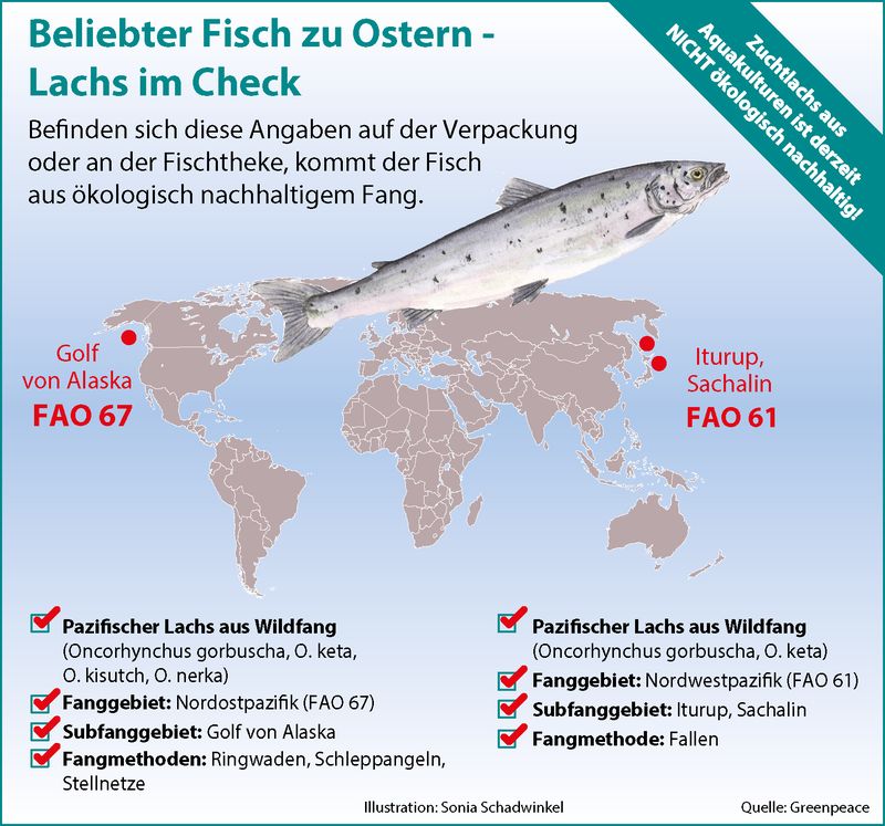 Wie erkenne ich beim beliebten Speisefisch Lachs ein ökologisch vertretbares Angebot