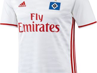 So sieht das HSV-Heimtrikot