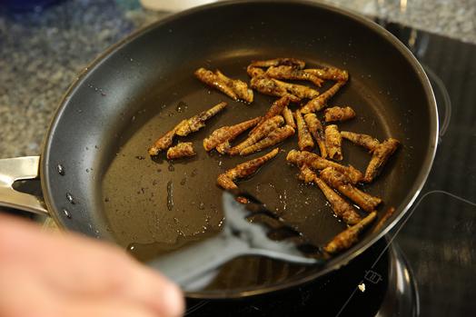 Mit essbaren Insekten in 15 Jahren vom jungen Abenteurer zum erfolgreichem Unternehmer