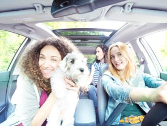 Bei BlaBlaCar reisen Tiere mit