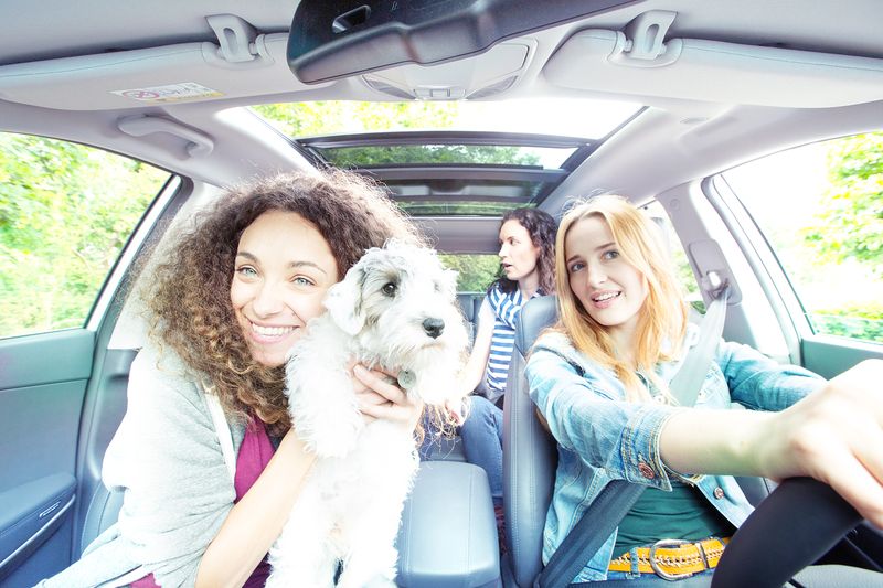 Bei BlaBlaCar reisen Tiere mit