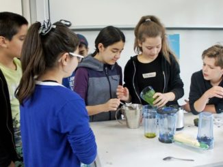 Im Workshop "Chefkoch" stellen Schülerinnen und Schüler der fünften und sechsten Klassen Pesto selber her