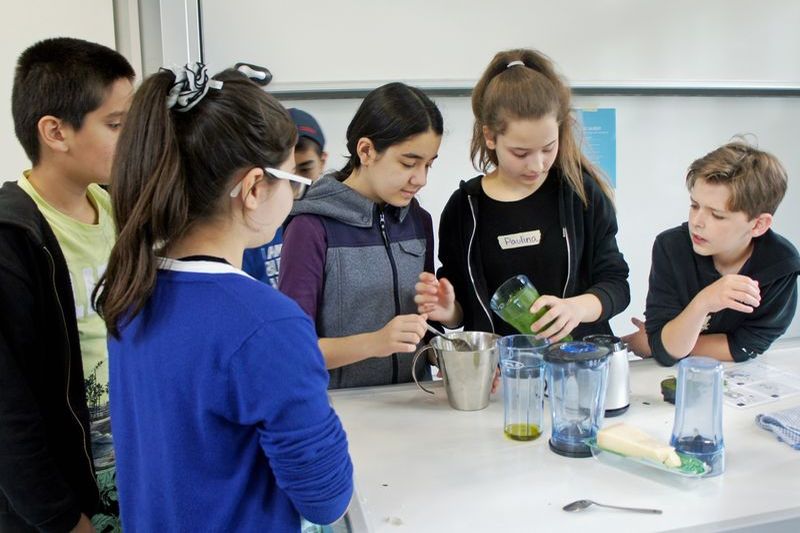 Im Workshop "Chefkoch" stellen Schülerinnen und Schüler der fünften und sechsten Klassen Pesto selber her