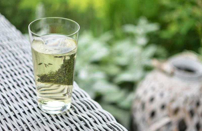Mizudashi Gyokuro Tee schmeckt kalt am besten | Mizudashi Gyokuro Tee schmeckt kalt am besten