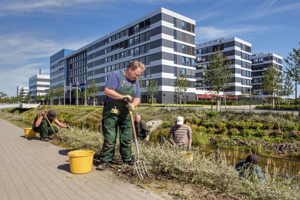 Voller Einsatz: Die Mitarbeiter der Elbe-Werkstätten bei ihrer Arbeit auf dem Tesa Campus 