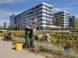 Voller Einsatz: Die Mitarbeiter der Elbe-Werkstätten bei ihrer Arbeit auf dem Tesa Campus