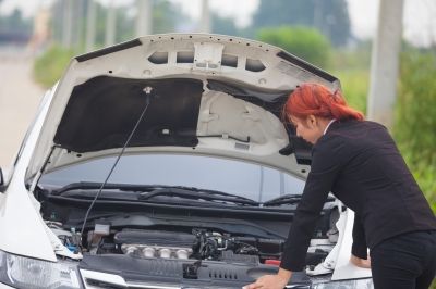 Marderbiss kann zu einem richtigen Motorschaden führen