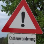 Beginn der Krötenwanderung