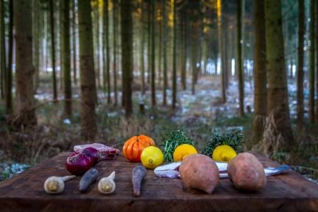 Fein-lässige Waldpartie in Südniedersachsen