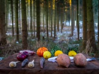 Fein-lässige Waldpartie in Südniedersachsen