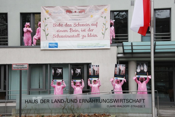 Als Schweine verkleidete Aktivisten des Deutschen Tierschutzbüros haben das Vordach des Deutschen Bauernverbands besetzt