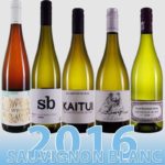 Sauvignon Blancs 2016 aus der Pfalz von den Kultwinzern ist da