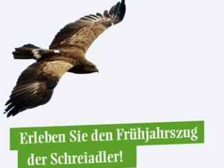 Tierschutz wird belohnt