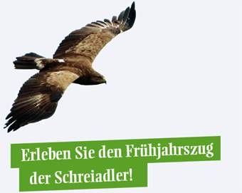 Tierschutz wird belohnt | Tierschutz wird belohnt