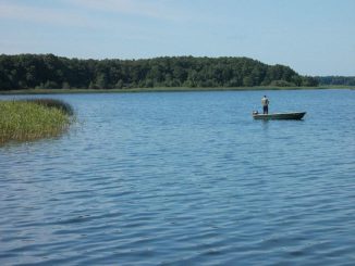 Idyllische Landschaft am Tollensesee in Mecklenburg-Vorpommern