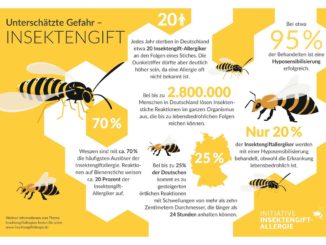 Insektengift-Allergie: Viele Betroffene