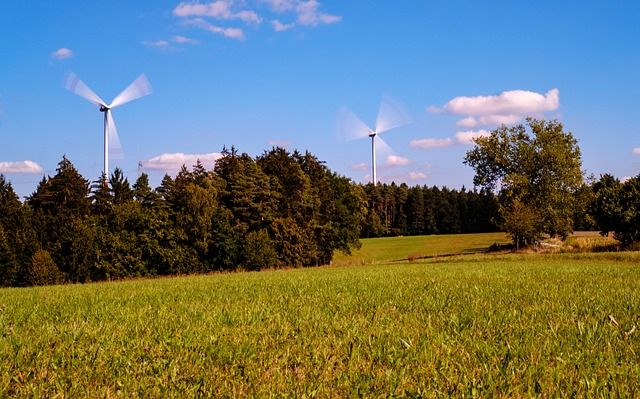 Die grüne Axt im Märchenwald: Rettet die Vögel und die Natur vor der Windkraft – mit Video