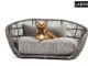 Der Hund mittendrin