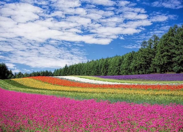 Farben beeinflussen Stimmungen, Gefühle und Emotionen | Farben beeinflussen Stimmungen, Gefühle und Emotionen