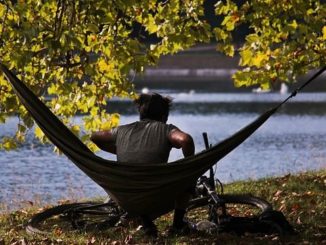 Im Garten oder auch in freier Natur an der Alster