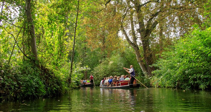 Nicht nur Gurken gedeihen prächtig im Spreewald