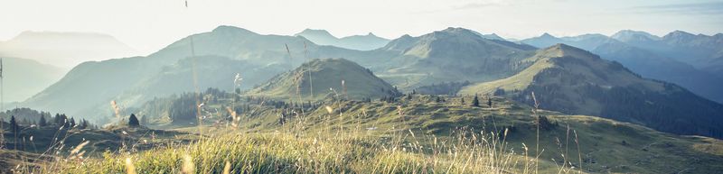 Die Kitzbüheler Berge locken auch im Sommer viele Erholungssuchende an