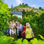 Führung durch das Weingut Hoflößnitz in Radebeul. Bildnachweis: TVED/Sylvio Dittrich