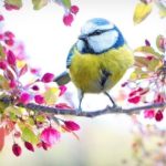 Schöne Farben bringen positive Energie und gute Laune