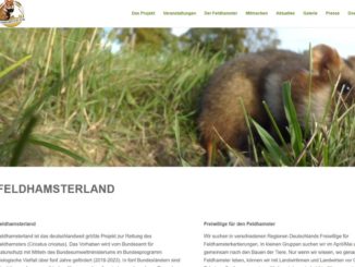 Screenshot Website feldhamster.de - Tierschutz für heimische Arten kommt zu kurz