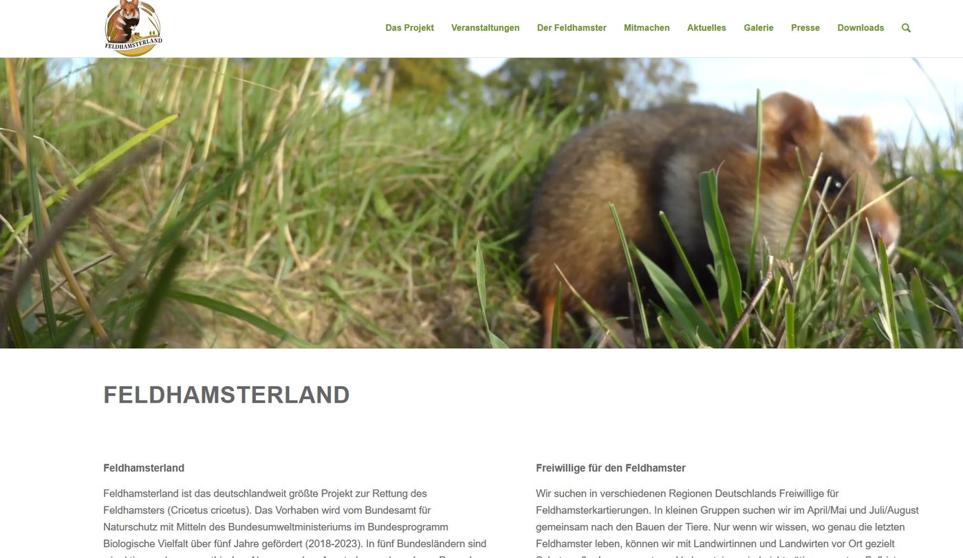 Screenshot Website feldhamster.de - Tierschutz für heimische Arten kommt zu kurz
