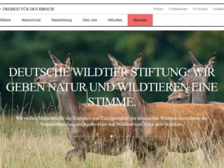 Deutsche Wildtier Stiftung