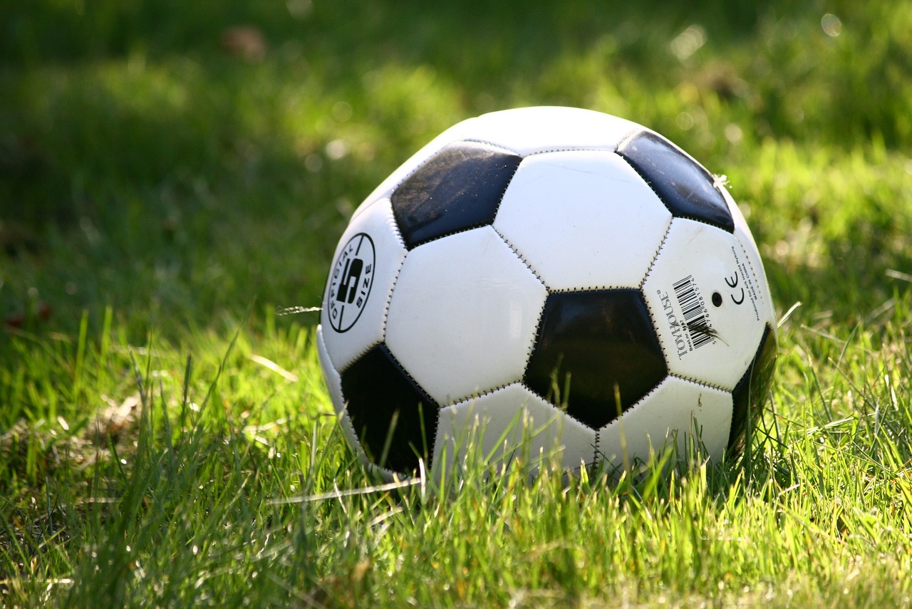 HSV Fussball Liga 1 Aufstieg | HSV Fussball Liga 1 Aufstieg