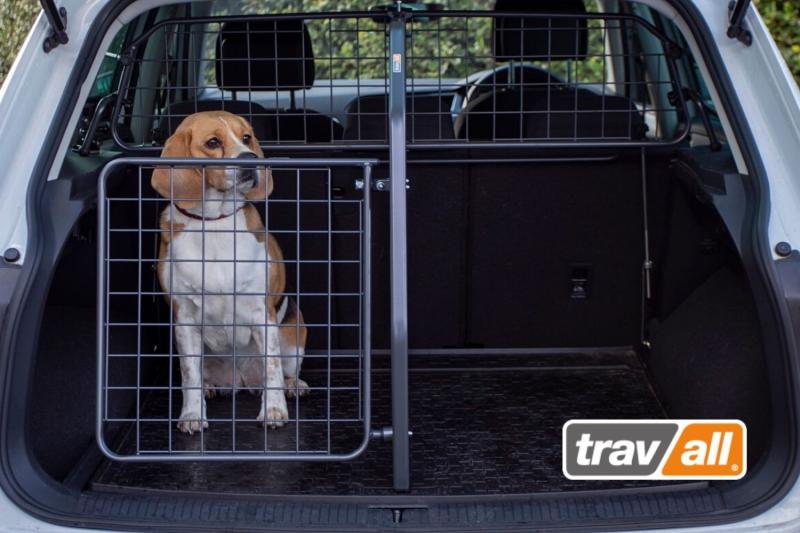 Urlaub mit Auto angesagt: Modulares Transportsystem für Hunde