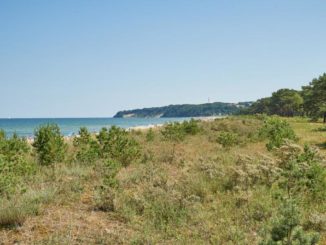 Strand Ostseebad Baabe auf der Insel Rügen