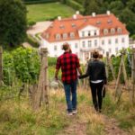 Spaziergang durch die Weinberge zum Schloss Wackerbarth. Foto Martin Förster