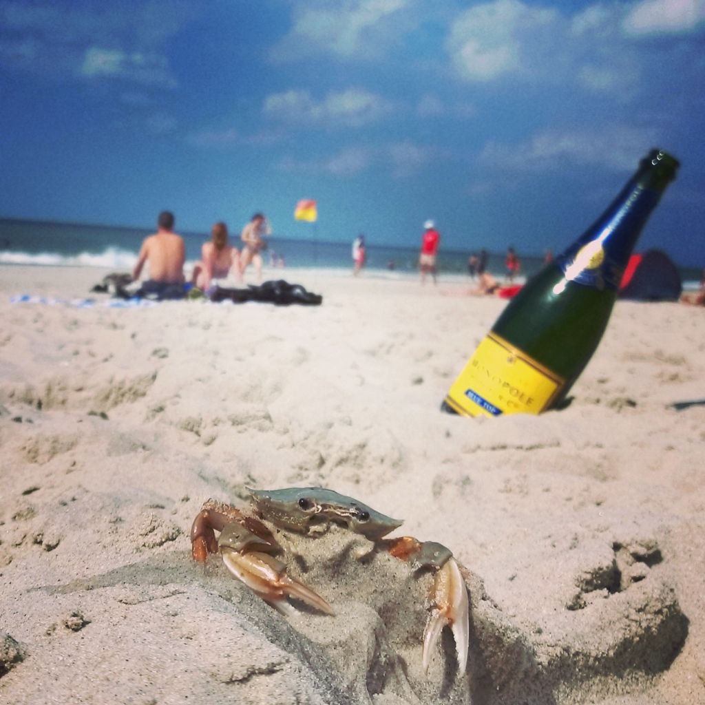 Beachlife Sylt 