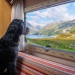 Hundegerechte Wohnmobile sind ideal für entspannte Urlaubstage mit den Vierbeinern.