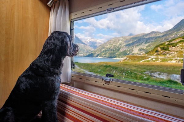 Hundegerechte Wohnmobile sind ideal für entspannte Urlaubstage mit den Vierbeinern.