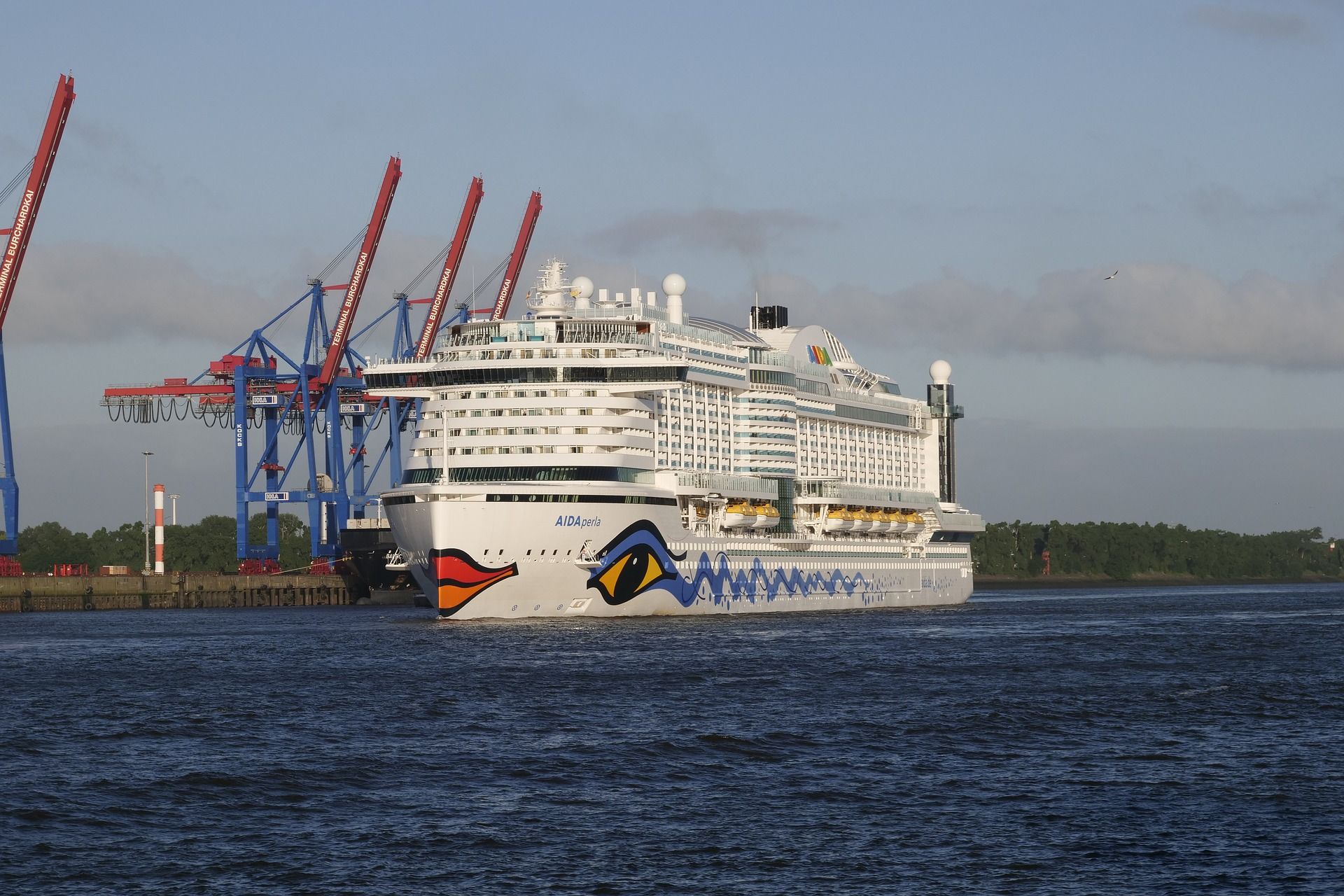 Eine AIDA auf der Elbe