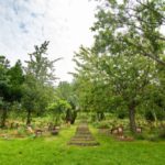 Tierfriedhof