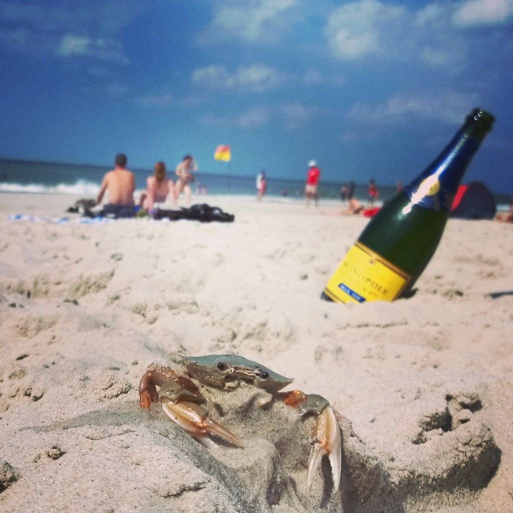 Beachlife Sylt Krebs und Schampus