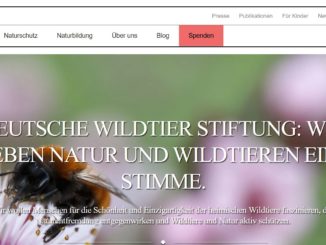 Deutsche Wildtierstiftung