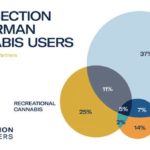 Schaubild zur Userstudie