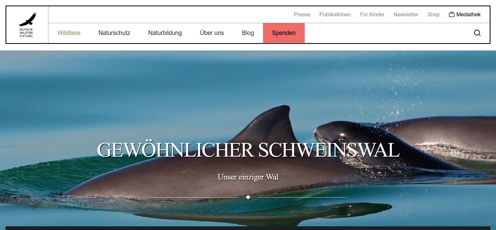 Screenshot Webiste Deutsche Wildtierstiftung