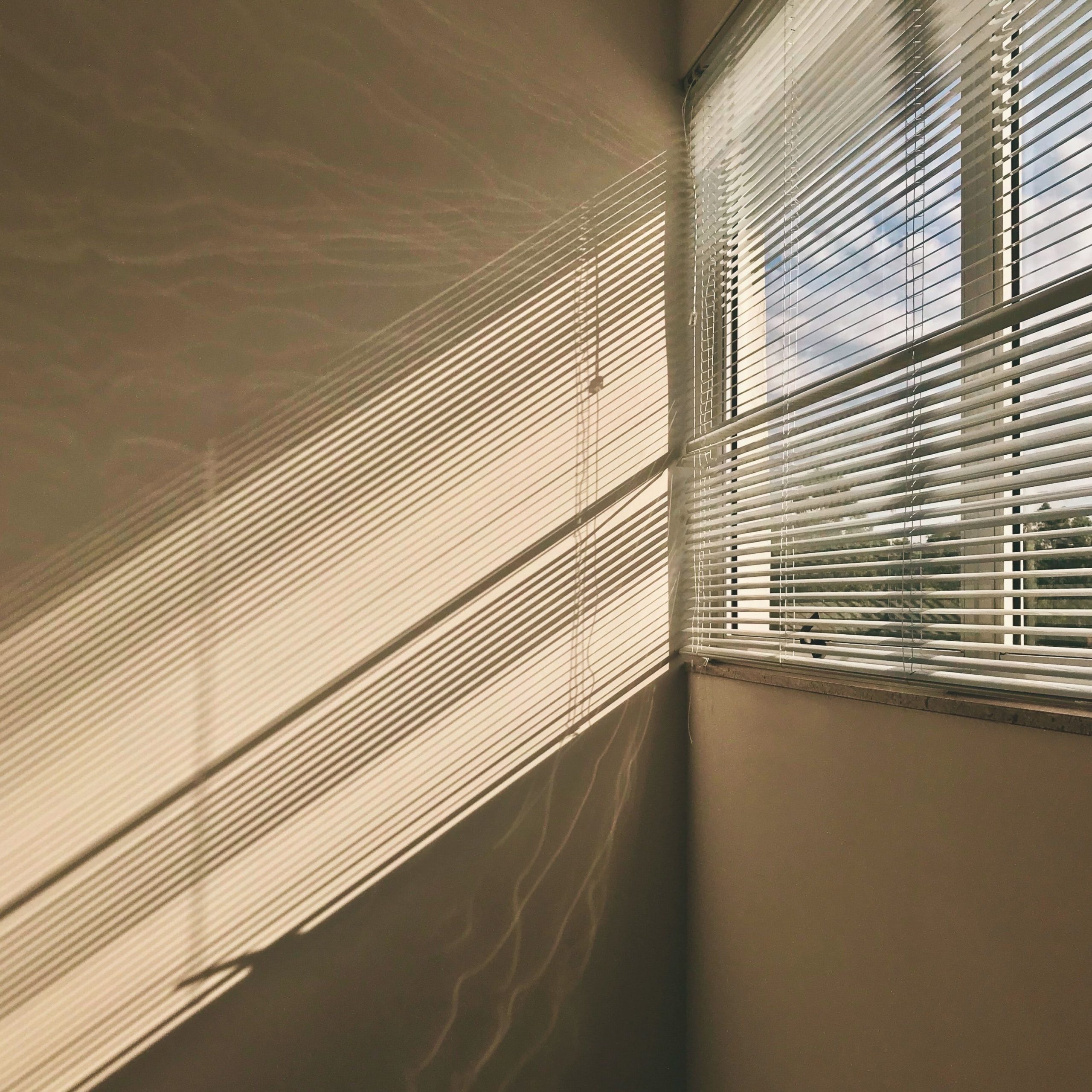 ruan-richard-Bij3VCHV9e8-unsplash | Nützlich und optisch top - bester Sicht und Sonnenschutz