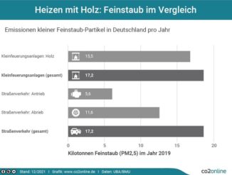 Holzöfen: Strengere Feinstaub-Grenzwerte und Filter-Pflicht?