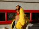Unsplash Fashion Foto