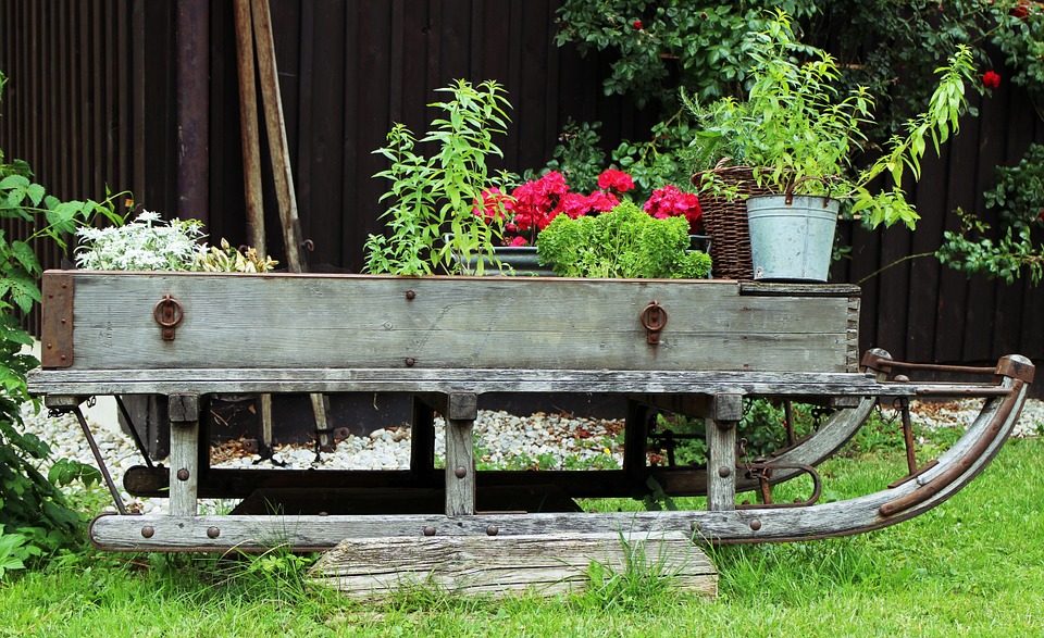 garden-373194_960_720 | Auch mit Planzen lässt sich wunderbarer Sichtschutz erstellen